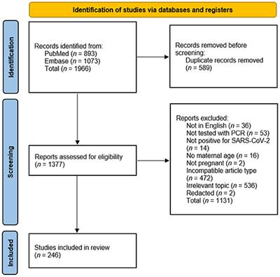 Validity of Apgar Score as an Indicator of Neonatal SARS-CoV-2 Infection: A Scoping Review